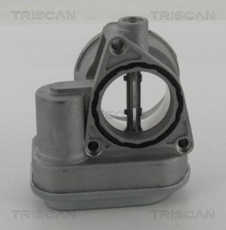 Дросельна заслінка TRISCAN 8820 29029 (фото 1)