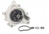 Насос THERMOTEC D1W061TT (фото 1)