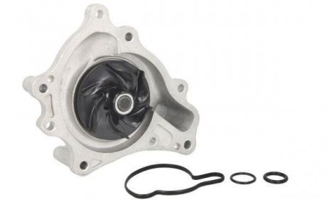Насос THERMOTEC D1W061TT (фото 1)