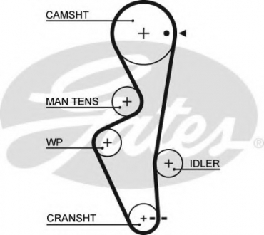 Ремінь ГРМ Gates 5430XS (фото 1)