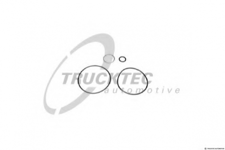 Комплект прокладок, гидравлический насос TRUCKTEC 0243031 (фото 1)