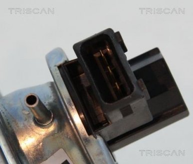 Клапан рецеркуляції відпрацьованих газів TRISCAN 881311002 (фото 1)