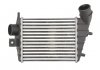 Радиатор охлаждения воздуха THERMOTEC DAD001TT (фото 1)