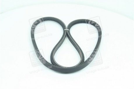 Ремінь AVХ13х1400 зубч. ПАЗ 3205 RIDER AVX13x1400 (фото 1)