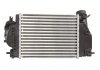 Интеркулер THERMOTEC DA1005TT (фото 2)