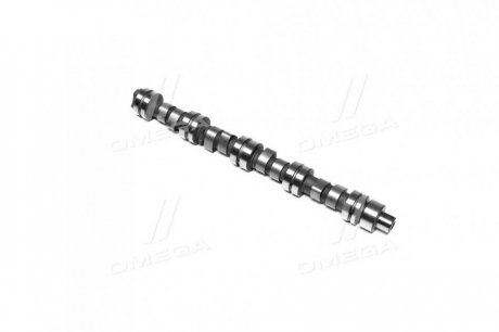 Розподільний вал CHERY AMULET RIDER RD.480EEBJ1006015 (фото 1)