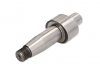 Елемент насосу Common Rail ENGITECH ENT230009 (фото 1)