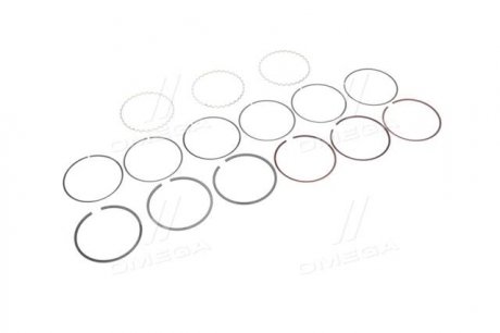 Кольца поршневые DAEWOO 69,00 3 Cyl. 1,2 x 1,5 x 2,8 mm (SM) SM MVI 791401-50-3 (фото 1)