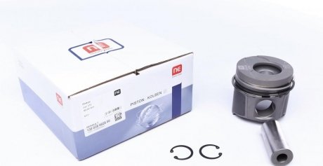 Поршень Renault NPR 130 038 0028 00 (фото 1)