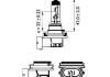 Лампа розжарювання H11 WhiteVision ultra 12V 55W PGJ19-2 (+60) (4000K) 1шт. blister (вир-во) PHILIPS 12362WVUB1 (фото 3)