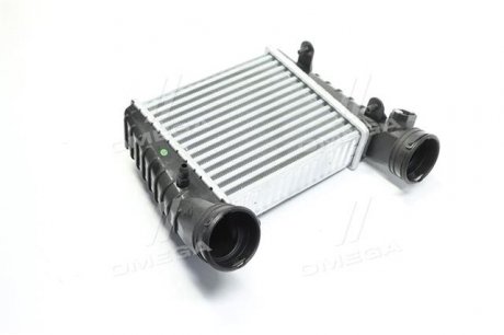 Інтеркулер VW PASSAT 00-05 (1.8T) TEMPEST TP.1596731 (фото 1)