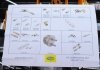 Установка по MAGNETI MARELLI 007935110779 (фото 4)