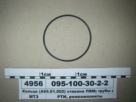 Кольцо ГОСТ 18829-73 (ГОСТ 9833-73) (Рось-резина) Рось Гума 095-100-30-2-2 (фото 1)