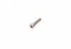 Елемент насосу Common Rail 1 465 ZS0 065 BOSCH 1465ZS0065 (фото 7)