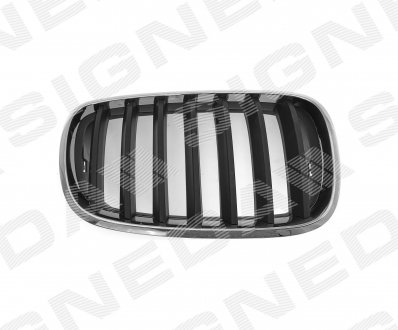 Решітка радіатора BMW X5 (E70) Signeda BM07053GAR (фото 1)