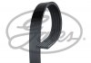 Доріжковий пас GAT6PK2030HD Gates 6PK2030HD (фото 1)