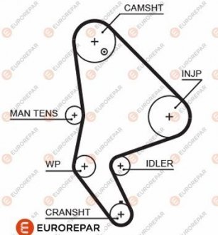 РЕМІНЬ ГРМ Eurorepar 1633126880 (фото 1)