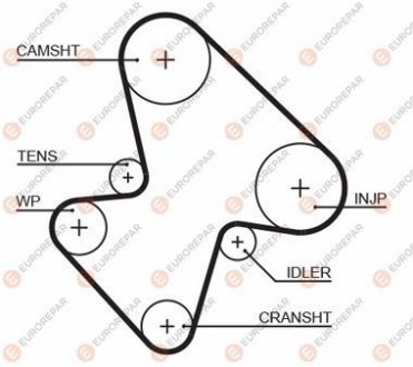 РЕМІНЬ ГРМ Eurorepar 1633128080 (фото 1)