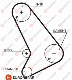 РЕМІНЬ ГРМ Eurorepar 1633133180 (фото 1)