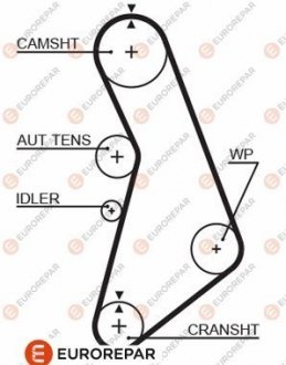 Ремень ГРМ Eurorepar 1633134780 (фото 1)
