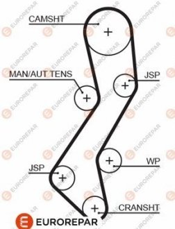 Ремень ГРМ Eurorepar 1633136880 (фото 1)