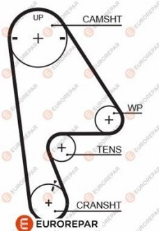 Ремень ГРМ Eurorepar 1633140980 (фото 1)