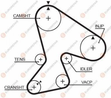Ремень ГРМ Eurorepar 1633141080 (фото 1)