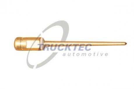 Форсунка карбюратора TRUCKTEC 0213023 (фото 1)