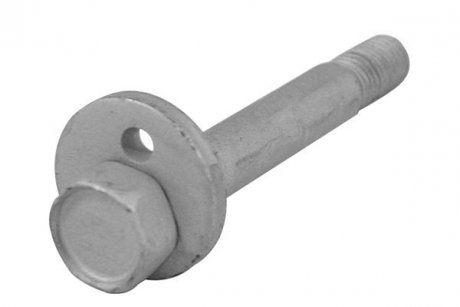 Болт з ексцентриком TED GUM TEDGUM TED22300 (фото 1)