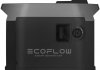 Генератор Smart Generator EcoFlow GasEB-EU (фото 3)